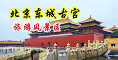 免费操逼插肛门视頻中国北京-东城古宫旅游风景区